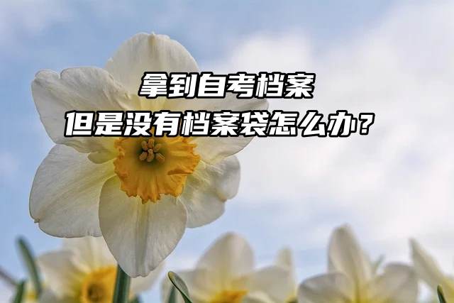 拿到自考档案，但是没有档案袋怎么办？