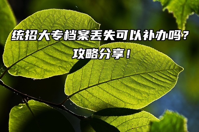 统招大专档案丢失可以补办吗？攻略分享！