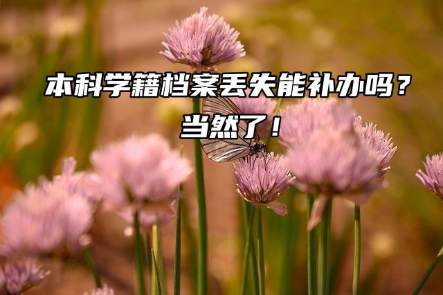  本科学籍档案丢失能补办吗？当然了！