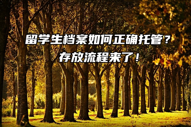 留学生档案如何正确托管？存放流程来了！