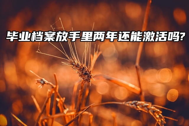 毕业档案放手里两年还能激活吗?求助贴！