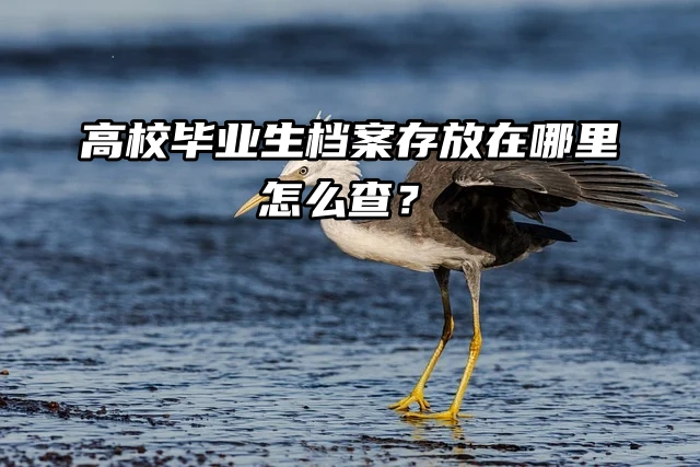 必看！高校毕业生档案存放在哪里怎么查？