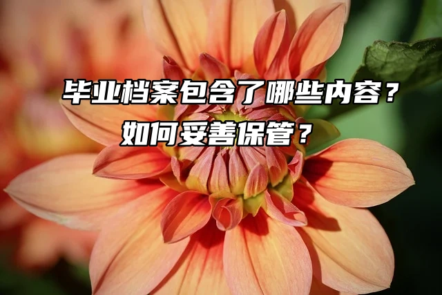 毕业档案包含了哪些内容？如何妥善保管？