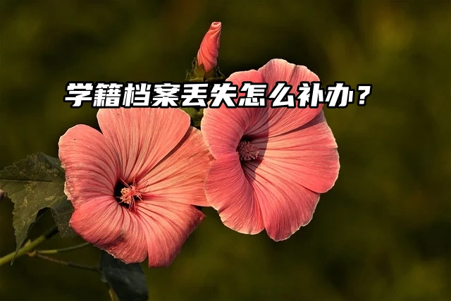 学籍档案丢失怎么办？别急，这篇教你轻松补办！