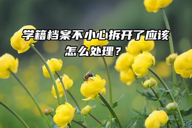 学籍档案不小心拆开了应该怎么处理？