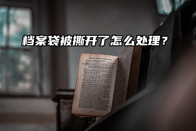 档案袋被撕开了怎么处理？手把手教你解决！