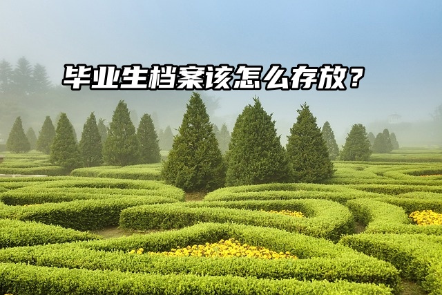 毕业生档案该怎么存放？教你轻松处理！