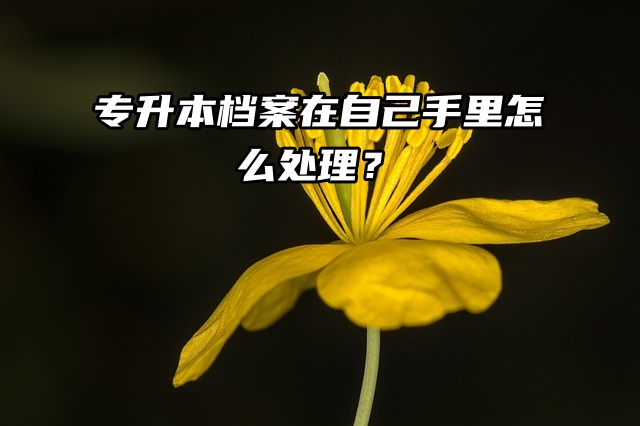 档案知识分享：专升本档案在自己手里怎么处理？