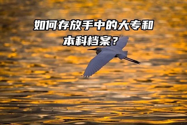 大专跟本科档案都在手上怎么存？