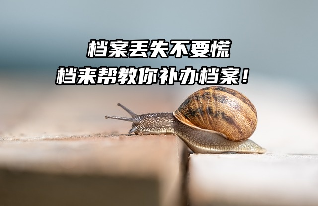 档案丢失不要慌，档来帮教你补办档案