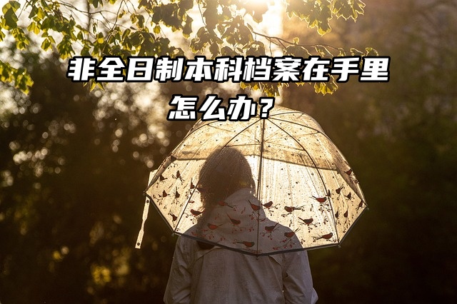 要调档政审，非全日制本科档案在手里怎么办？