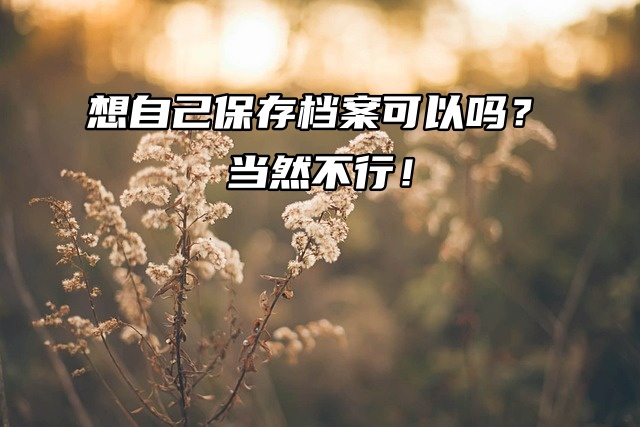 想自己保存档案可以吗？当然不行！