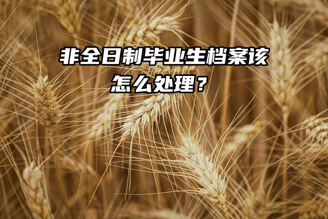 非全日制毕业生档案该怎么处理？一篇教你托管！