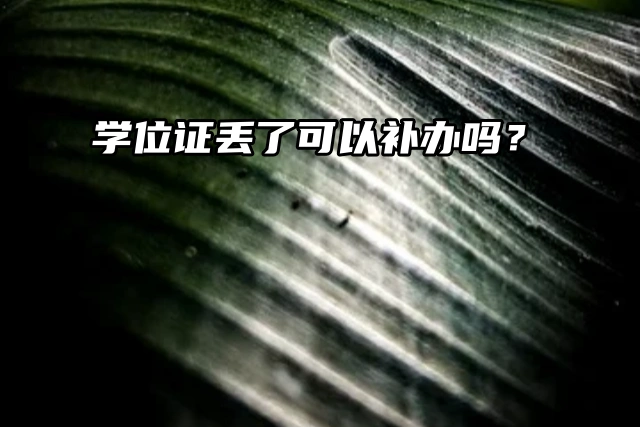 学位证丢了可以补办吗？流程详细介绍！