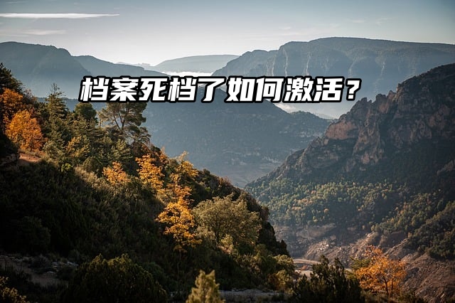 考编要提供档案，但是档案死档了如何激活？