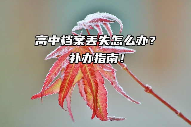 苏州高中档案丢失怎么办？补办指南！