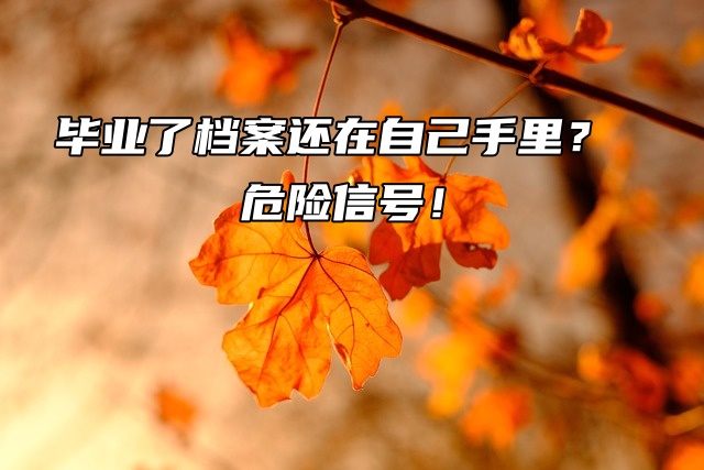 毕业了档案还在自己手里？危险信号！