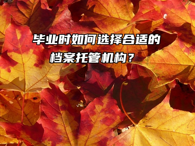 毕业时如何选择合适的档案托管机构？