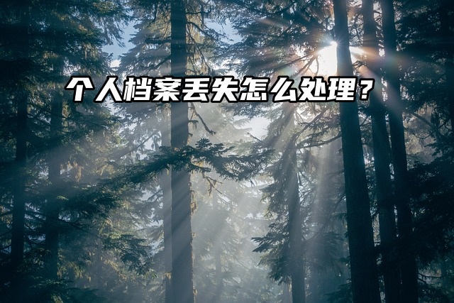 办理退休，个人档案丢失怎么处理？