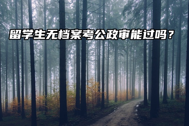 留学生无档案，考公政审能过吗？