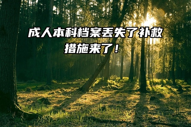 成人本科档案丢失了，必看补救措施来了！