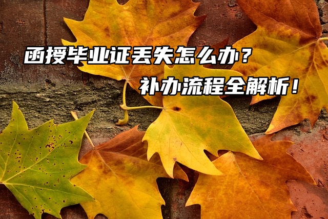 函授毕业证丢失怎么办？补办流程全解析！