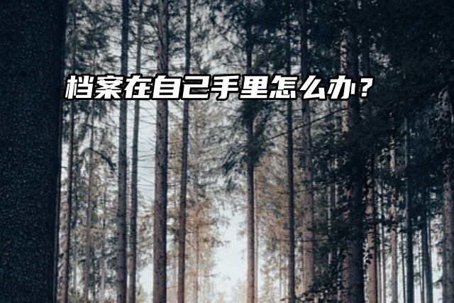 档案小妙招之档案在自己手里怎么办？