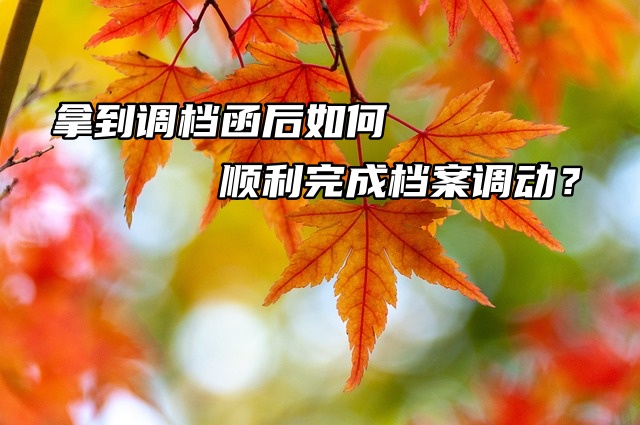 拿到调档函后如何顺利完成档案调动？