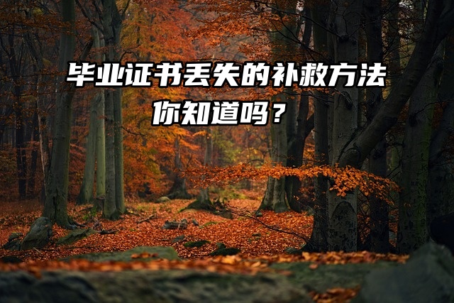 要政审了，毕业证书丢失的补救方法你知道吗？