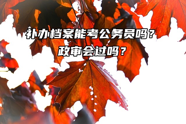 补办档案能考公务员吗？政审会过吗？