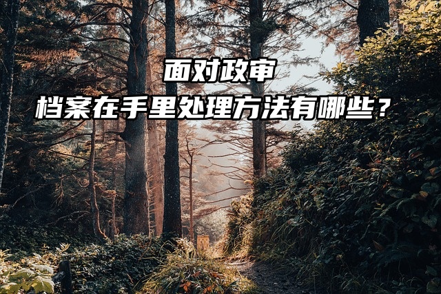 面对政审，档案在手里处理方法有哪些？