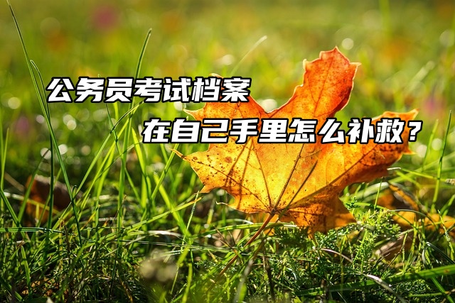 公务员考试档案在自己手里怎么补救？紧急求助！