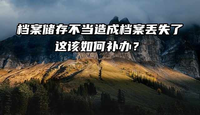 档案储存不当造成档案丢失了，这该如何补办？