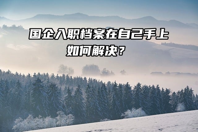 国企入职档案在自己手上如何解决？一篇教你搞定！