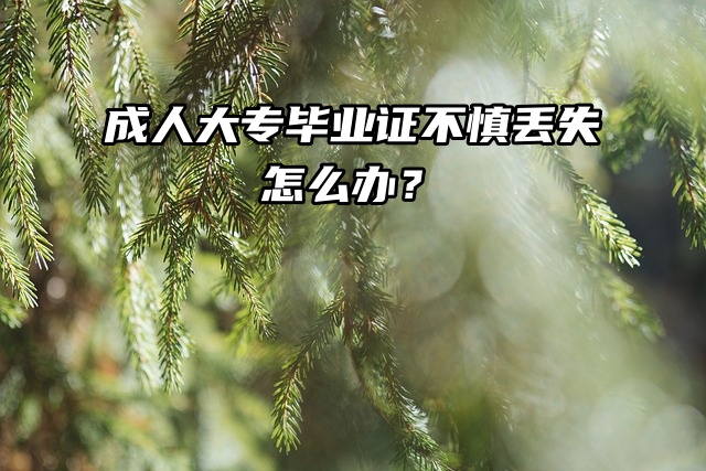 成人大专毕业证不慎丢失怎么办？补办毕业证明方法来了！