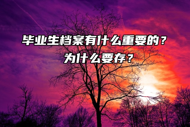 毕业生档案有什么重要的？为什么要存？