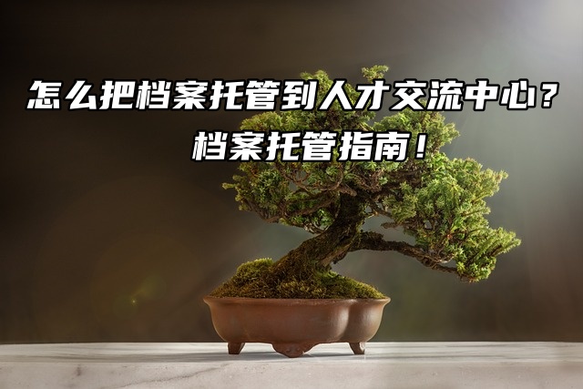 怎么把档案托管到人才交流中心？档案托管指南！