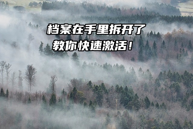 档案在手里拆开了？别担心！3分钟教你快速激活！