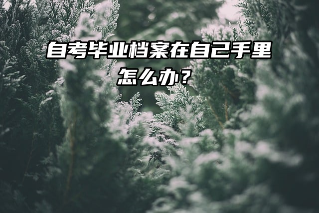 自考毕业档案在自己手里怎么办？合并存放！