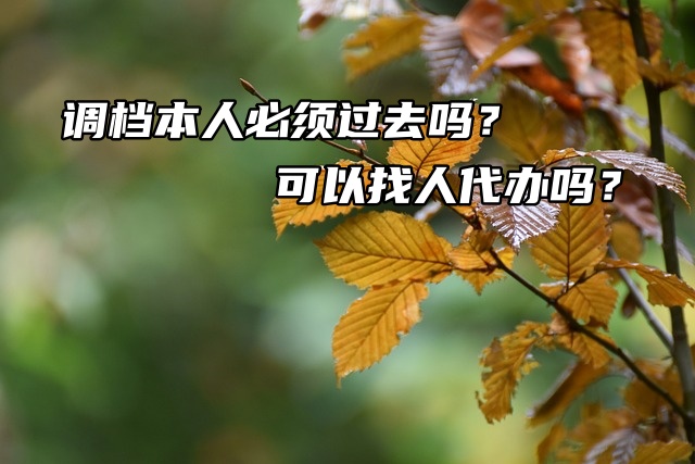 调档本人必须过去吗？可以找人代办吗？