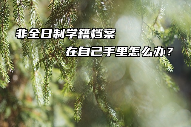 非全日制学籍档案在自己手里怎么办？