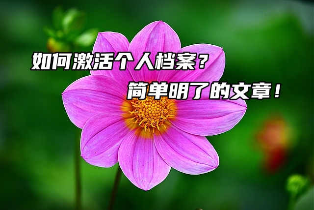 如何激活个人档案？简单明了的文章！