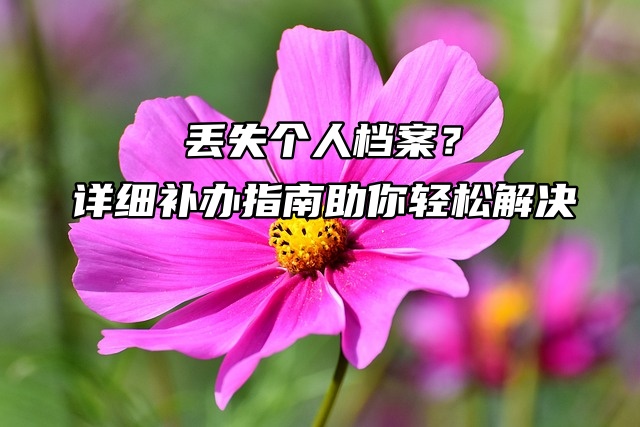 丢失个人档案？别慌！详细补办指南助你轻松解决