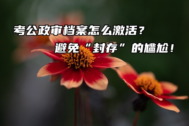 考公政审档案怎么激活？避免“封存”的尴尬！