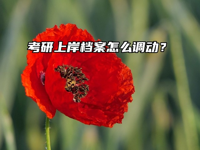 考研上岸档案怎么调动？从容应对，顺利入校！